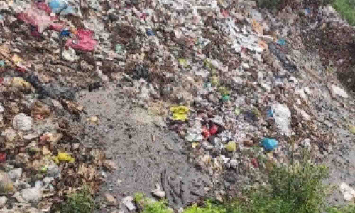 கொடுவாய் பகுதியில்குவிந்து கிடக்கும் குப்பையால் சுகாதார சீர்கேடு