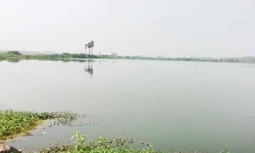 தேவதானப்பட்டியில் வேட்டுவன் குளம் கண்மாய் ஆக்கிரமிப்பால் விவசாயிகள் வேதனை