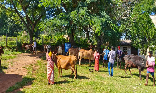 ஏலகிரி மலையில் மருத்துவ முகாம்