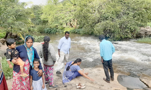 பொம்மிடி அருகே சுற்றுலாத்தலமாக உருவாகிறது:  பசுமை போர்த்திய சோலைவனமாக மாறிய ஆனை மடுவு  -ரசிப்பதற்காக ஏராளமாக குவியும் பொதுமக்கள்