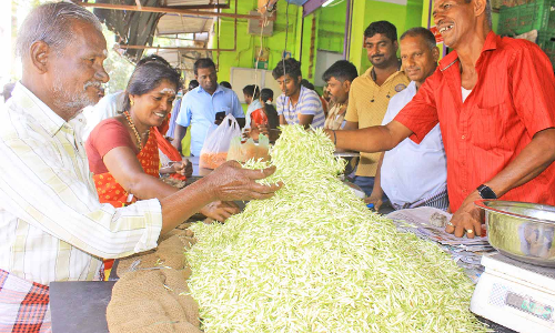 நெல்லையில் மல்லிகைப்பூ விலை கடும் உயர்வு -  கிலோ ரூ. 1800-க்கு விற்பனை