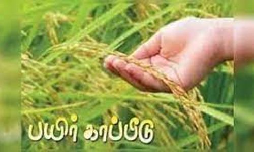 பயிர் காப்பீடு தொகை பெற்று தரக்கோரி விவசாயிகள் மனு