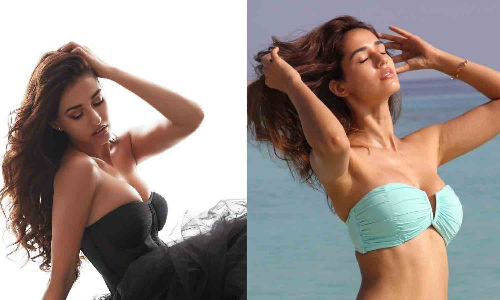 புதிய கவர்ச்சி புகைப்படத்தை வெளியிட்ட திஷா பதானி.. குவியும் லைக்குகள்