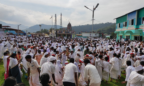 மரம் வளர்ப்பு குறித்து விழிப்புணர்வு ஏற்படுத்திய பழங்குடியின மக்கள்