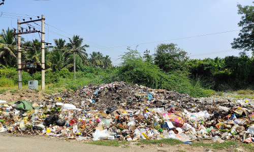அன்னூரில் சாலையோரம் கொட்டப்படும் குப்பைகள்