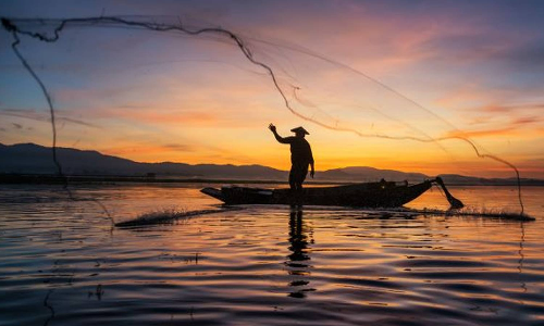 உலக மீன்பிடி தினம் இன்று கொண்டாட்டம்- டாமன் நிகழ்ச்சியில் மத்திய மந்திரிகள் பங்கேற்பு