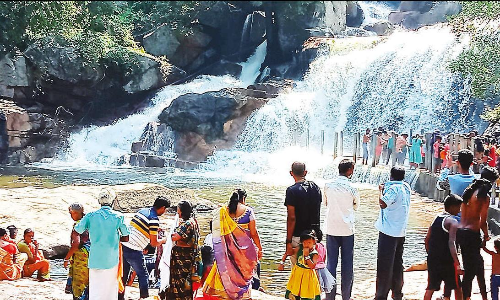 உடுமலை பஞ்சலிங்க அருவியில் குவியும் சுற்றுலா பயணிகள்