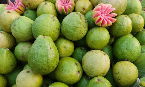 உடுமலையில்  சிவப்பு கொய்யா பழங்களை வாங்க பொதுமக்கள் ஆர்வம்