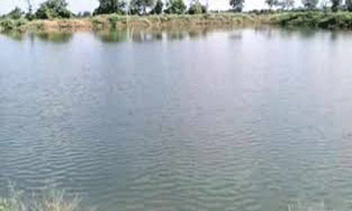 திண்டுக்கல் அருகே குளம் நிரம்பியதால் விவசாயிகள் கொண்டாட்டம்