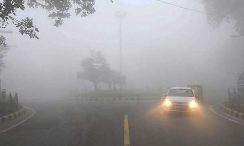 கொடைக்கானலில் 7 டிகிரி செல்சியசுக்கு கீழ் குறைந்த வெப்ப நிலை