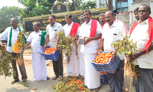 ரூ.5க்கு தக்காளி விற்று விவசாயிகள் போராட்டம்