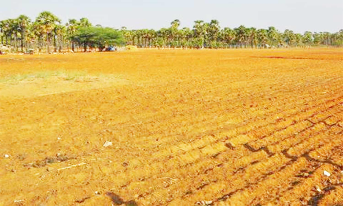 தரிசுநில மேம்பாடு திட்டத்தை வேளாண்மை துறை இயக்குனர் ஆய்வு