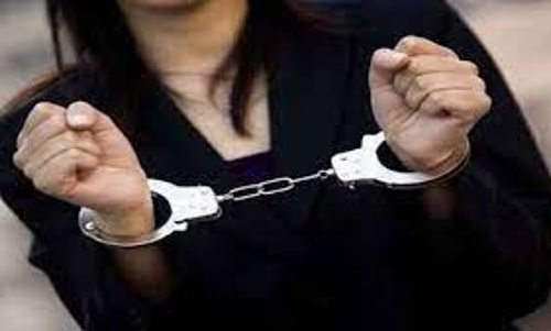 ஆன் லைன் மூலம் 11 டன் வெங்காயம் வாங்கி பணம் தராமல் மோசடி செய்த பெண் கைது