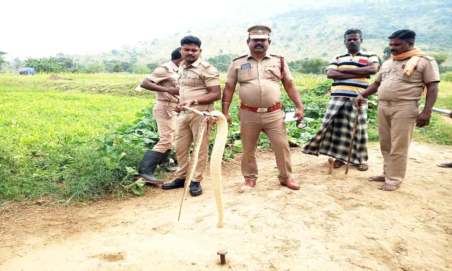 வீட்டிற்குள் நுழைந்த 5 அடி நீளமுள்ள பாம்பு