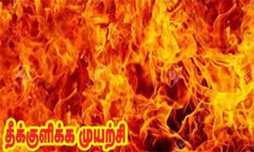 கலெக்டர் அலுவலகத்தில் மாற்றுத்திறனாளி பெண் மகனுடன் தீக்குளிக்க முயற்சி