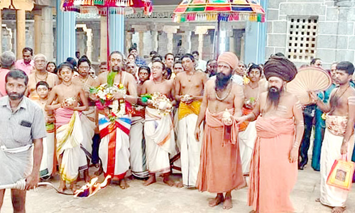 திருக்கடையூர் கோவிலில் 1008 சங்காபிஷேகம்; தருமை ஆதீனம் பங்கேற்பு