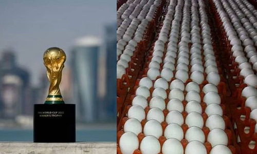 உலக கோப்பை கால்பந்து எதிரொலி- நாமக்கல்லில் இருந்து முட்டை ஏற்றுமதி 4 கோடியாக அதிகரிப்பு