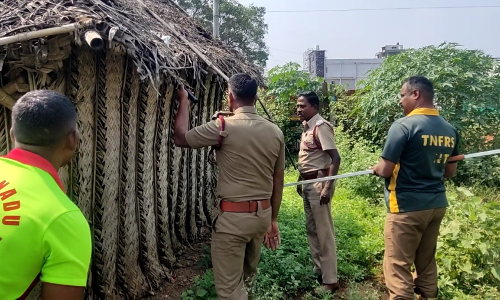சூலூரில் தீயணைப்பு வீரர்களிடம் இருந்து தப்பிய நல்லபாம்பு