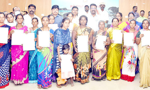 விளிம்பு நிலை மக்களுக்கு விலையில்லா வீட்டுமனை பட்டாவுக்கான ஆணை- கலெக்டர் வழங்கினார்