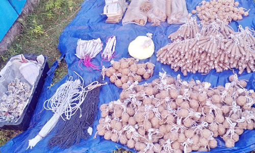 முத்துப்பேட்டை அருகே வீட்டில் நாட்டு வெடிக்குண்டு தயாரித்தவர் தலைமறைவு