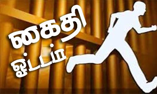 ஒட்டன்சத்திரத்தில் ஆஸ்பத்திரியில் இருந்து தப்பிய கைதியை மடக்கி பிடித்த போலீசார்