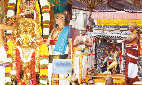 கார்த்திகை பிரம்மோற்சவம்: முத்துப்பந்தல் வாகனத்தில் பத்மாவதி தாயார் வீதி உலா