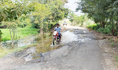 குண்டும் குழியுமான தார்சாலையை சீரமைக்க கோரிக்கை