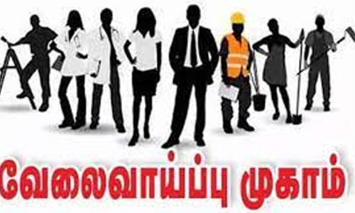 சேலத்தில் அரசு சார்பில் வேலைவாய்ப்பு முகாம்