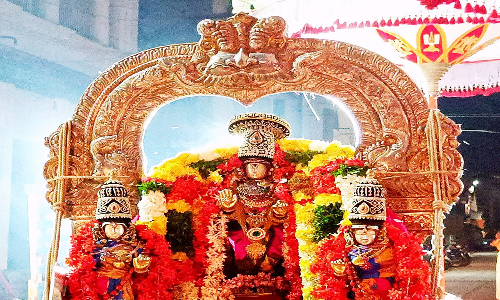 சோளிங்கர் லட்சுமி நரசிம்மர் கோவிலில் பக்தோசித பெருமாளுக்கு சிறப்பு பூஜை