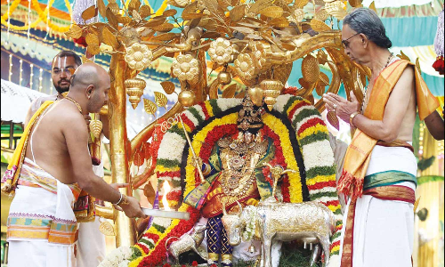 பிரம்மோற்சவ விழா: கல்ப விருட்சம், அனுமன் வாகனங்களில் பத்மாவதி தாயார் வீதிஉலா