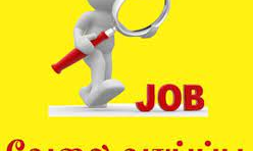 தனியார் துறை வேலை வாய்ப்பு முகாம்