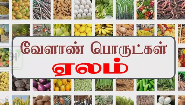 வேளாண் பொருட்கள் ரூ.24.34 லட்சத்துக்கு விற்பனை வேளாண் பொருட்கள் ரூ.24.34 லட்சத்துக்கு விற்பனை