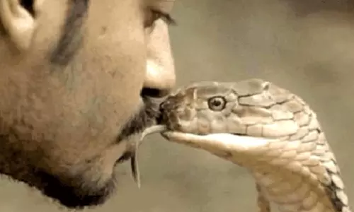 கனவில் தோன்றி தொல்லை... பாம்பு முன்பு நாக்கை நீட்டி பரிகாரம் செய்த விவசாயி