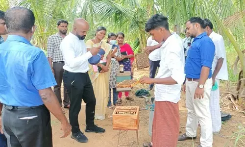 தேனீ மகசூல் மூலம் அதிக வருவாய் ஈட்டி விவசாயி சாதனை