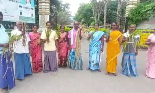 ஏரி உபரி நீரால் அழுகிய நெற்பயிர்கள்:  கலெக்டர்அலுவலகத்தில் விவசாயிகள் மனு