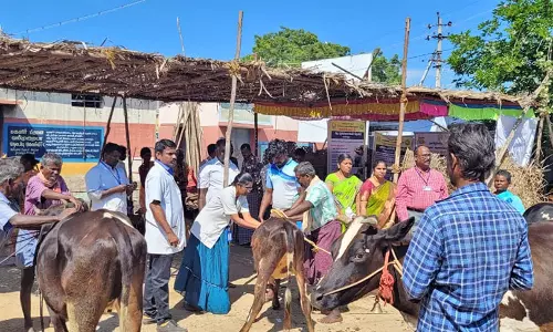 ஆலங்குளம் அருகே கால்நடை சுகாதாரம்- விழிப்புணர்வு முகாம்