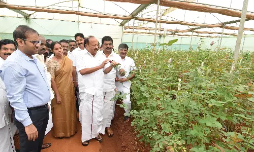 தளி கொய்மலர் மகத்துவ மையத்தில்  பன்னாட்டு அளவிலான மகளிருக்கான திறன் மேம்பாட்டு கருத்தரங்கு  -அமைச்சர் எம்.ஆர்.கே.பன்னீர்செல்வம் தொடங்கி வைத்தார்