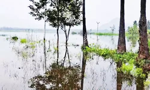 படவேடு தாமரை ஏரி நிரம்பியது