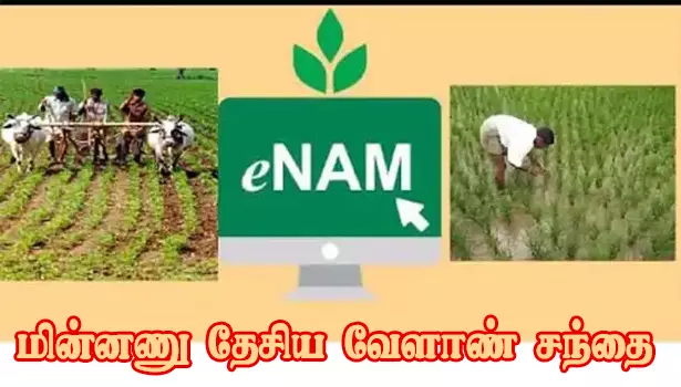 மின்னணு தேசிய வேளாண் சந்தை தொடர்பான விழிப்புணர்வு கூட்டம் மின்னணு தேசிய வேளாண் சந்தை தொடர்பான விழிப்புணர்வு கூட்டம்