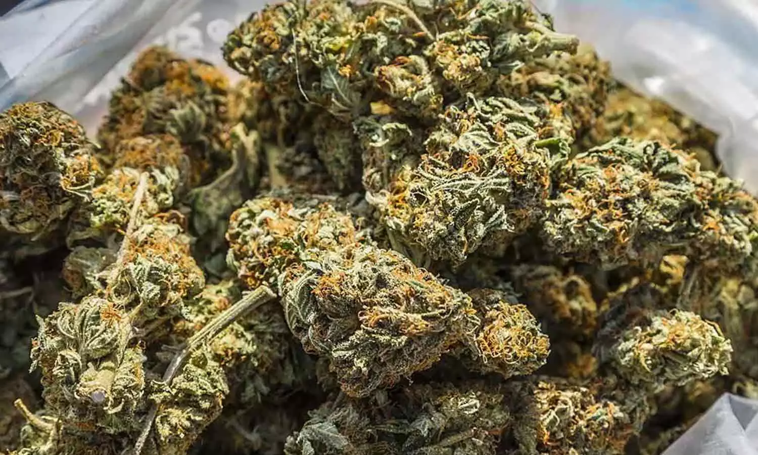 கஞ்சா கடத்திய அண்ணன், தம்பி கைது