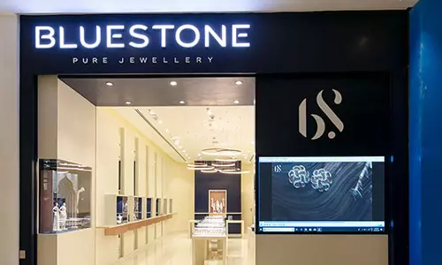 தாம்பரம் நகைக்கடையில் கொள்ளை- வடமாநில வாலிபர் கைது