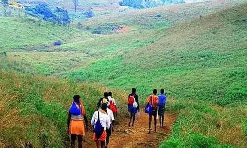புல்மேடு பாதையில் ஐயப்ப பக்தர்கள் வருகை அதிகரிப்பு- மெட்டல் டிடெக்டர் மூலம் சோதனை