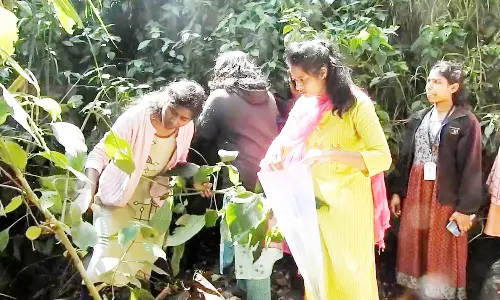 கொடைக்கானல் ஓடைக்குறிஞ்சி மலர்களை ஆய்வு செய்த மாணவிகள்