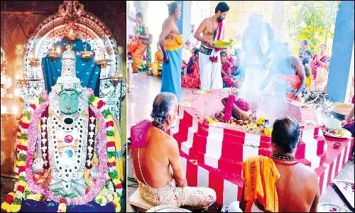 திருப்பத்தூர் திருத்தளிநாதர் கோவிலில் சம்பக சஷ்டி விழா