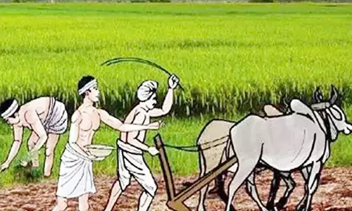 விவசாயிகளுக்கு இலவச மரக்கன்றுகள்- அதிகாரி தகவல்