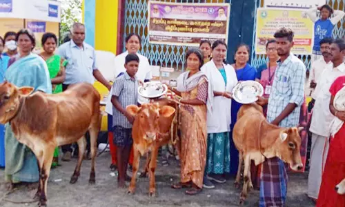 கால்நடை சுகாதார விழிப்புணர்வு முகாம்