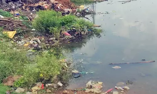 கீழப்பாவூர் நாகல்குளத்தில்  நீர்நிலைகளில் கொட்டப்படும் குப்பைகளால் சுகாதார சீர்கேடுகள் அபாயம்