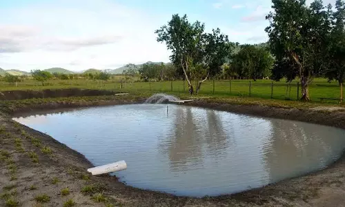 பண்ணைக்குட்டை மூலம் மீன்வளர்ப்பு - விவசாயிகள் எதிர்பார்ப்பு