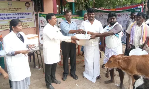 கால்நடை விழிப்புணர்வு முகாம்