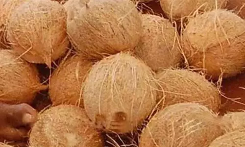 சேலத்தில் தேங்காய் விற்பனை அதிகரிப்பு